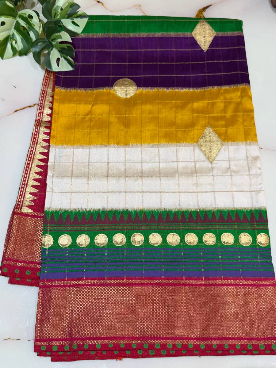 Vaidehi Multicolour Ikat Patola Saree