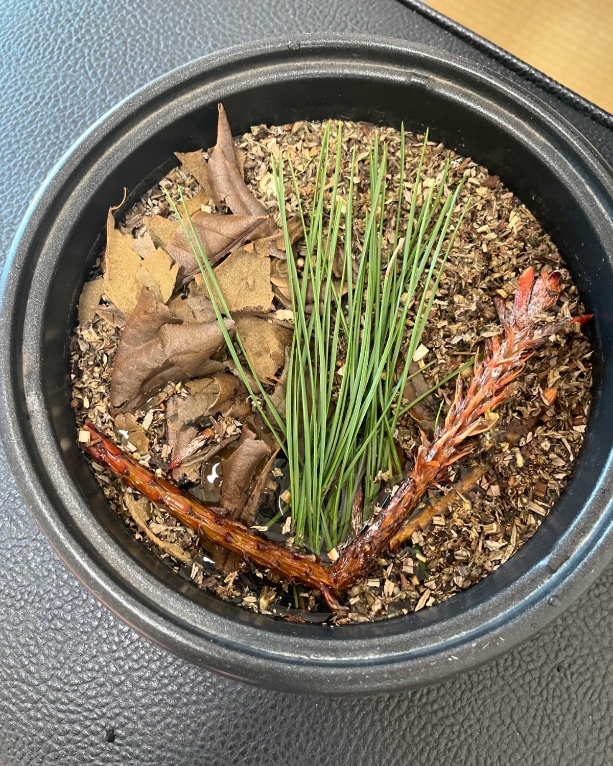 よもぎ蒸し