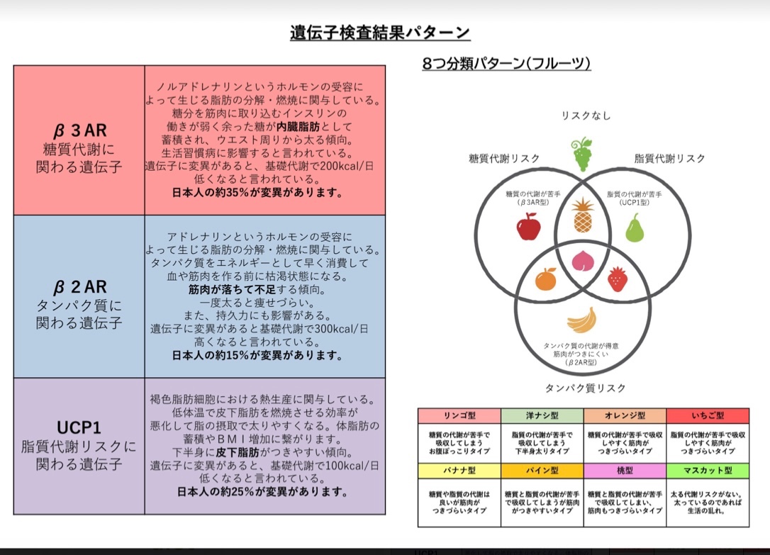 【ダイエット特性検査】ダイエットタイプチェック