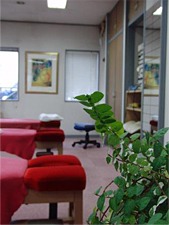 植物と診療台