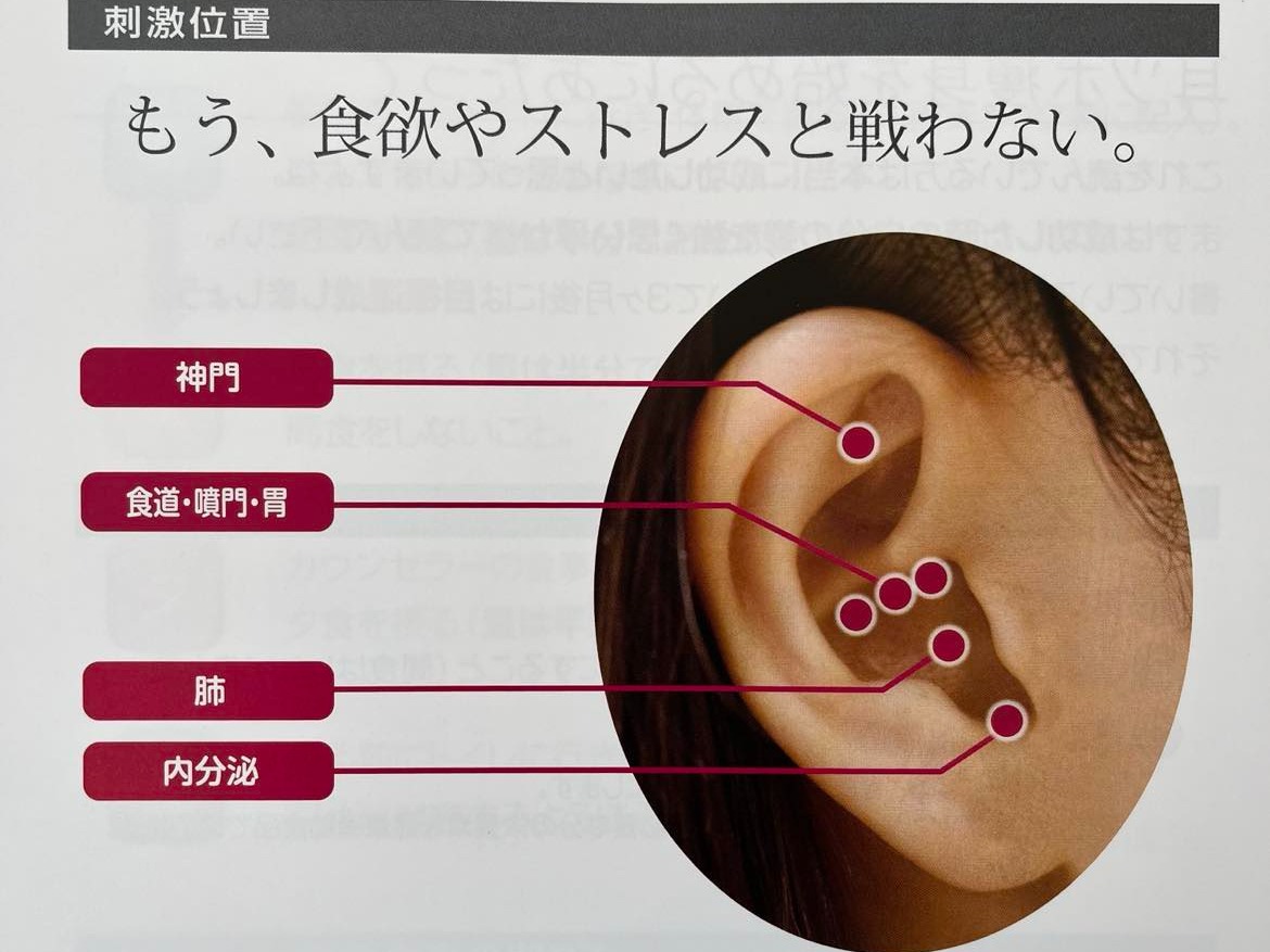 医師が検証したダイエット法