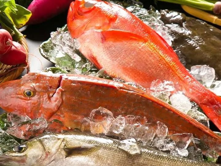日本一豊かな、三浦の地魚