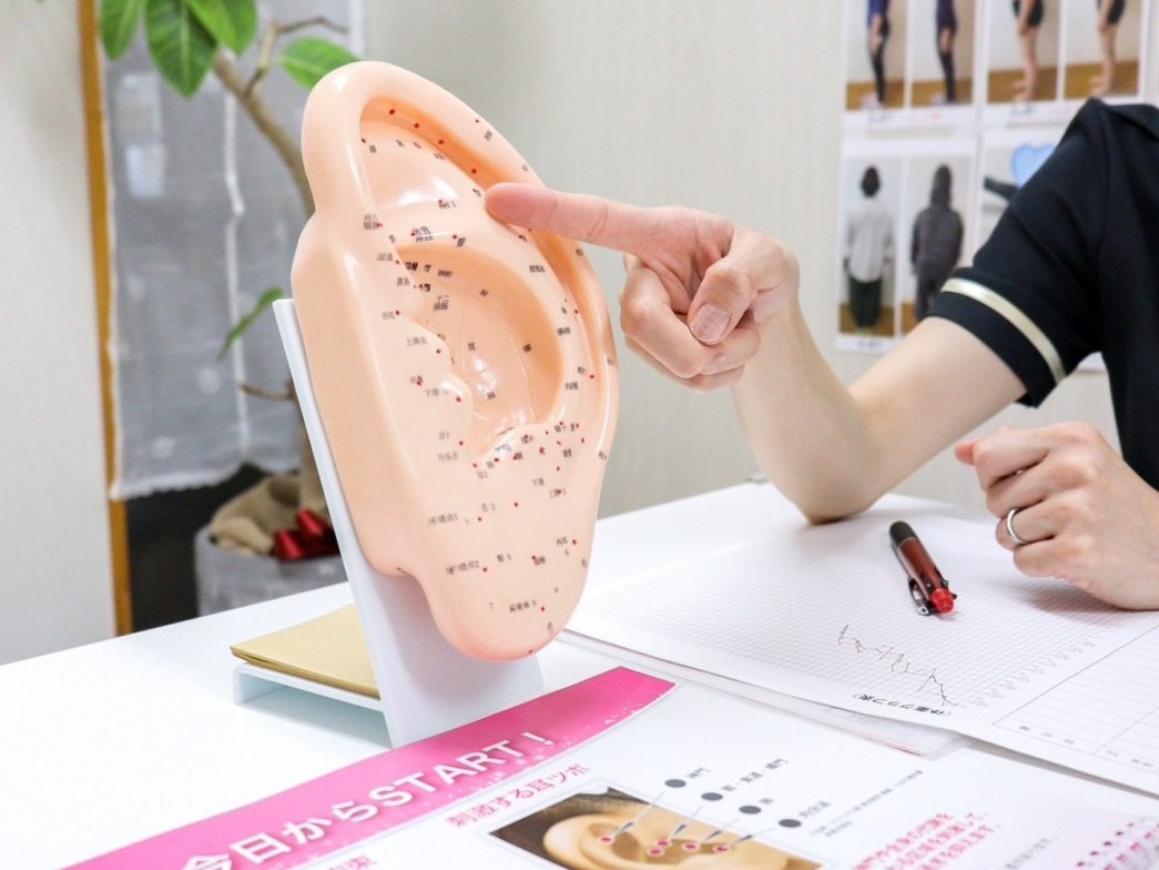 医師が検証したダイエット法