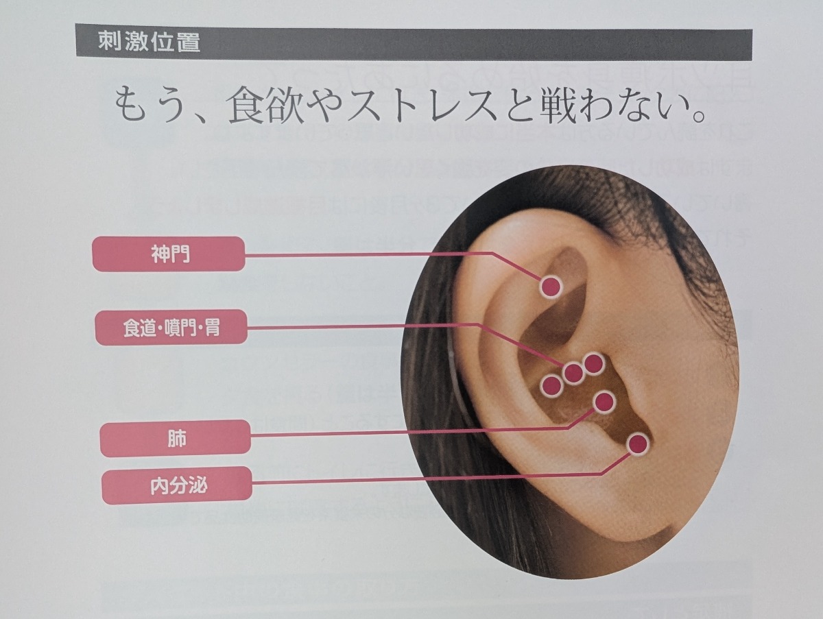 医師が検証したダイエット法
