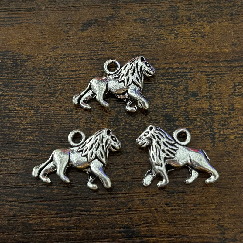 5 pezzi charms Leone 
