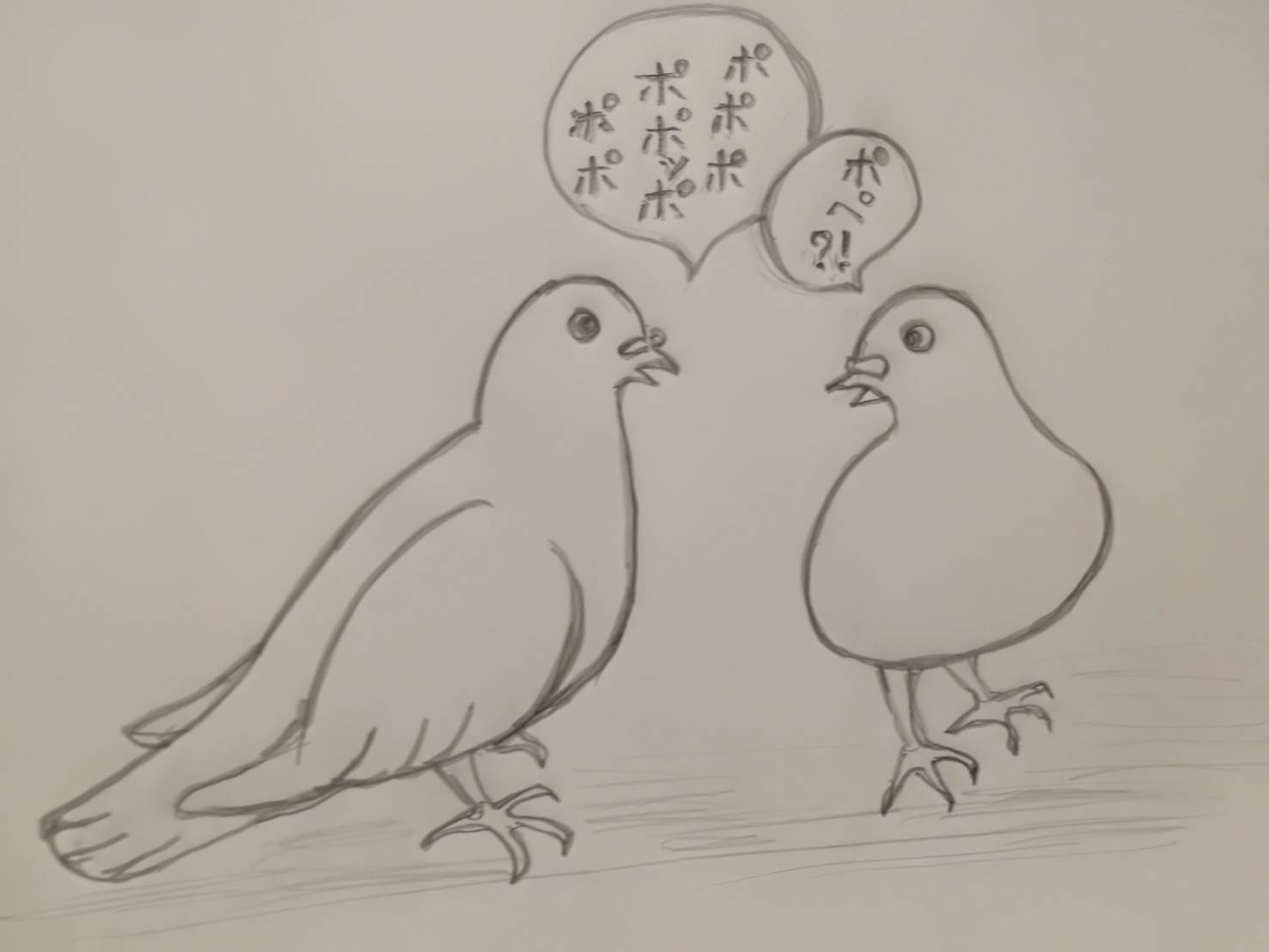 対話する鳩