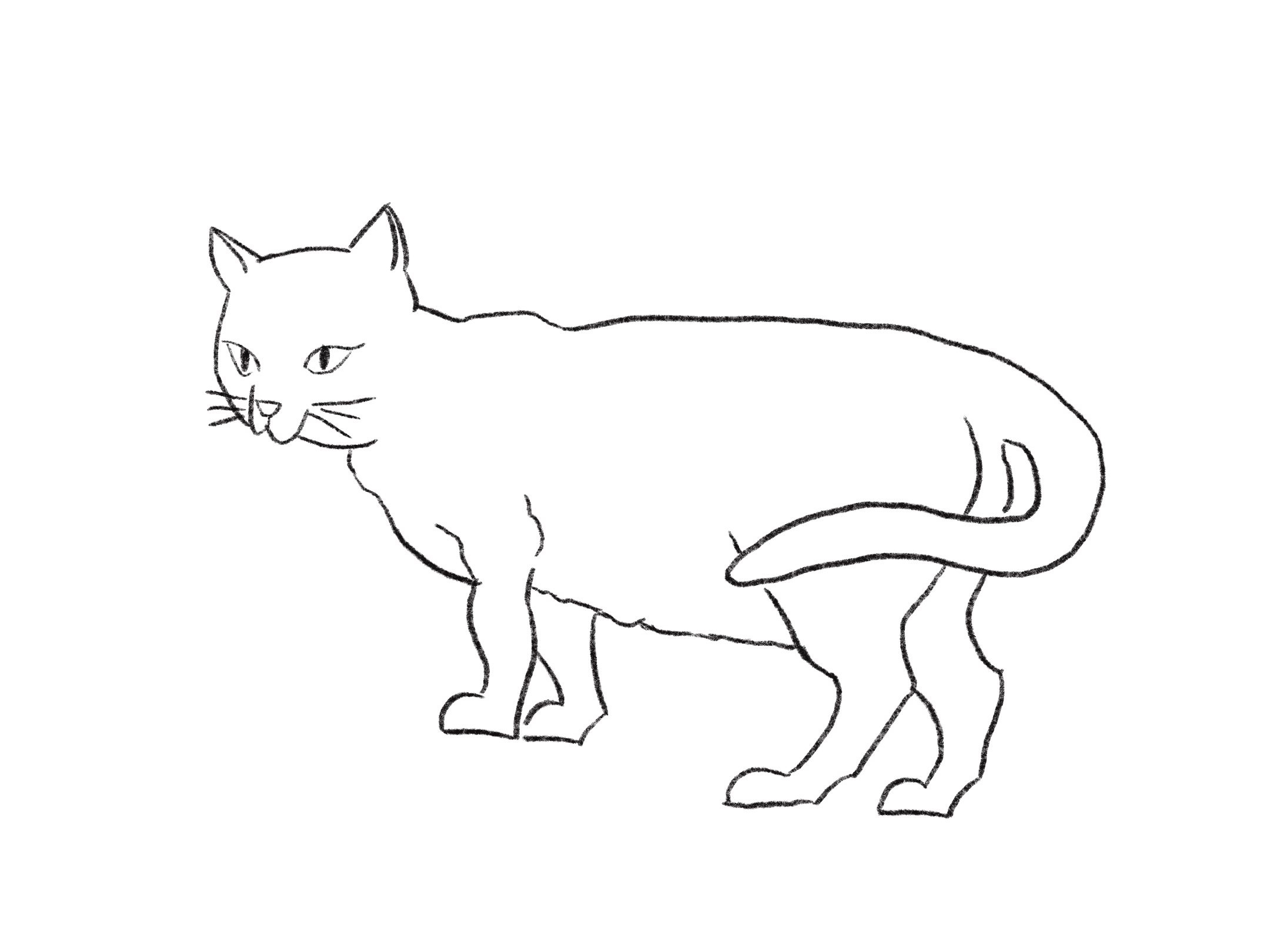 ネコ