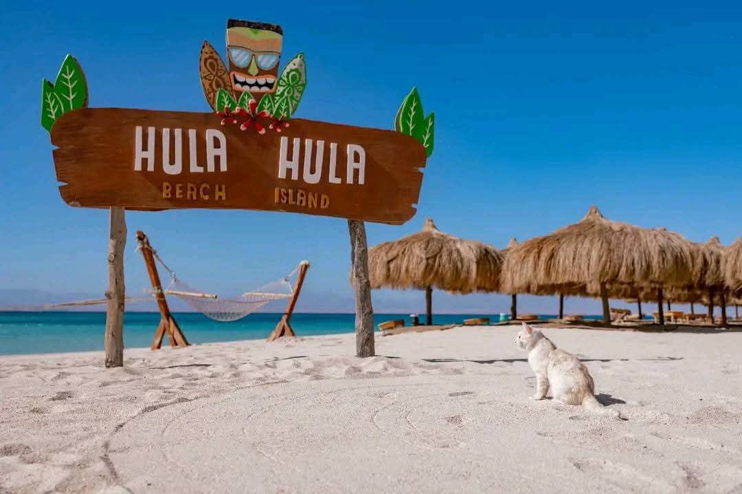 Snorkeling at Hula Hula Island