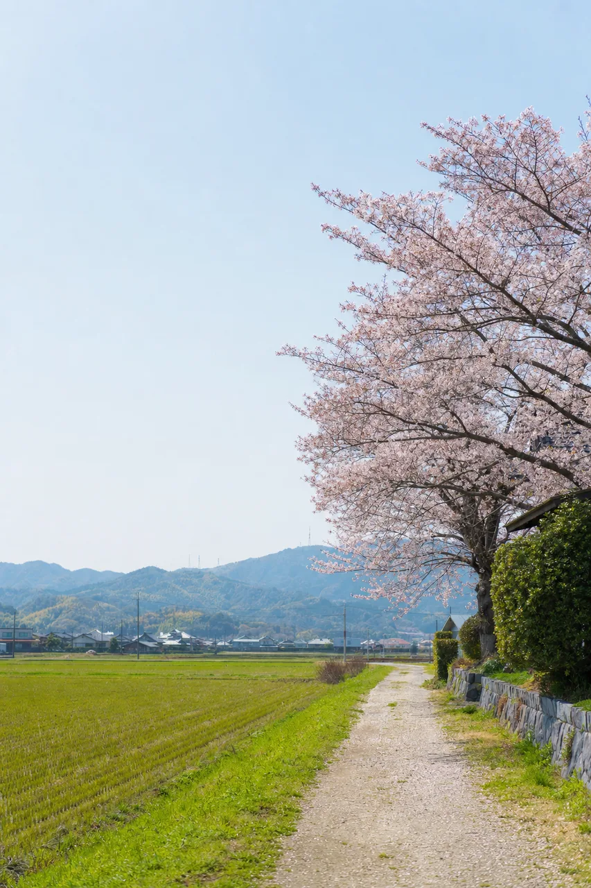 日本の四季の風景 0465。自然をテーマにした、広告・Web・記事制作に使いやすい素材です。