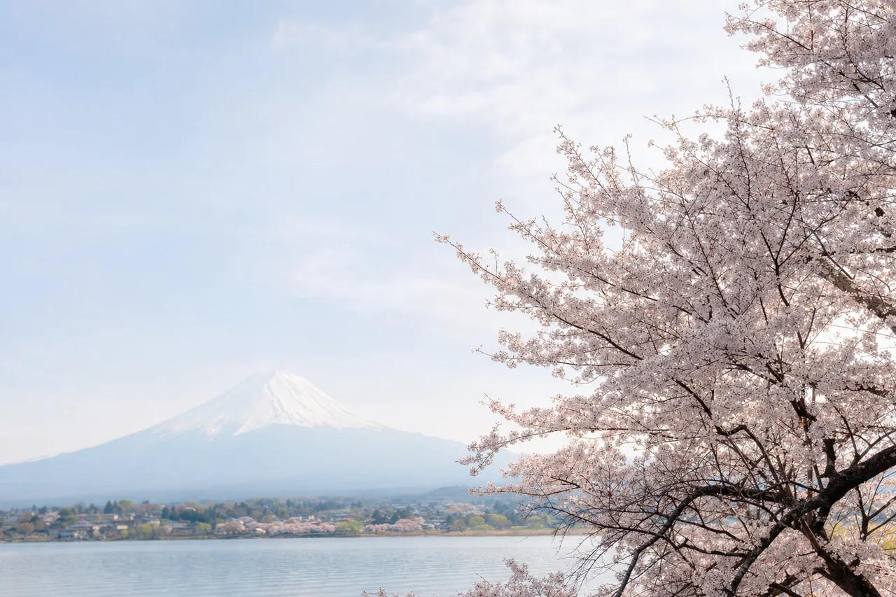 日本の四季の風景 0705。自然をテーマにした、広告・Web・記事制作に使いやすい素材です。