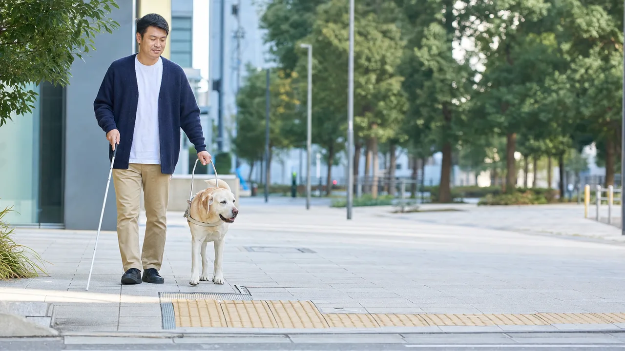 盲導犬と歩く日本人利用者（横長・コピースペース）。盲導犬、視覚障害、移動支援、共生社会の記事向け素材です。