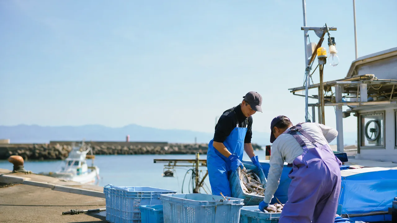 漁港で水揚げをする日本の漁業者（横長・コピースペース）。漁業、一次産業、水産、地域産業の記事に使える仕事素材です。