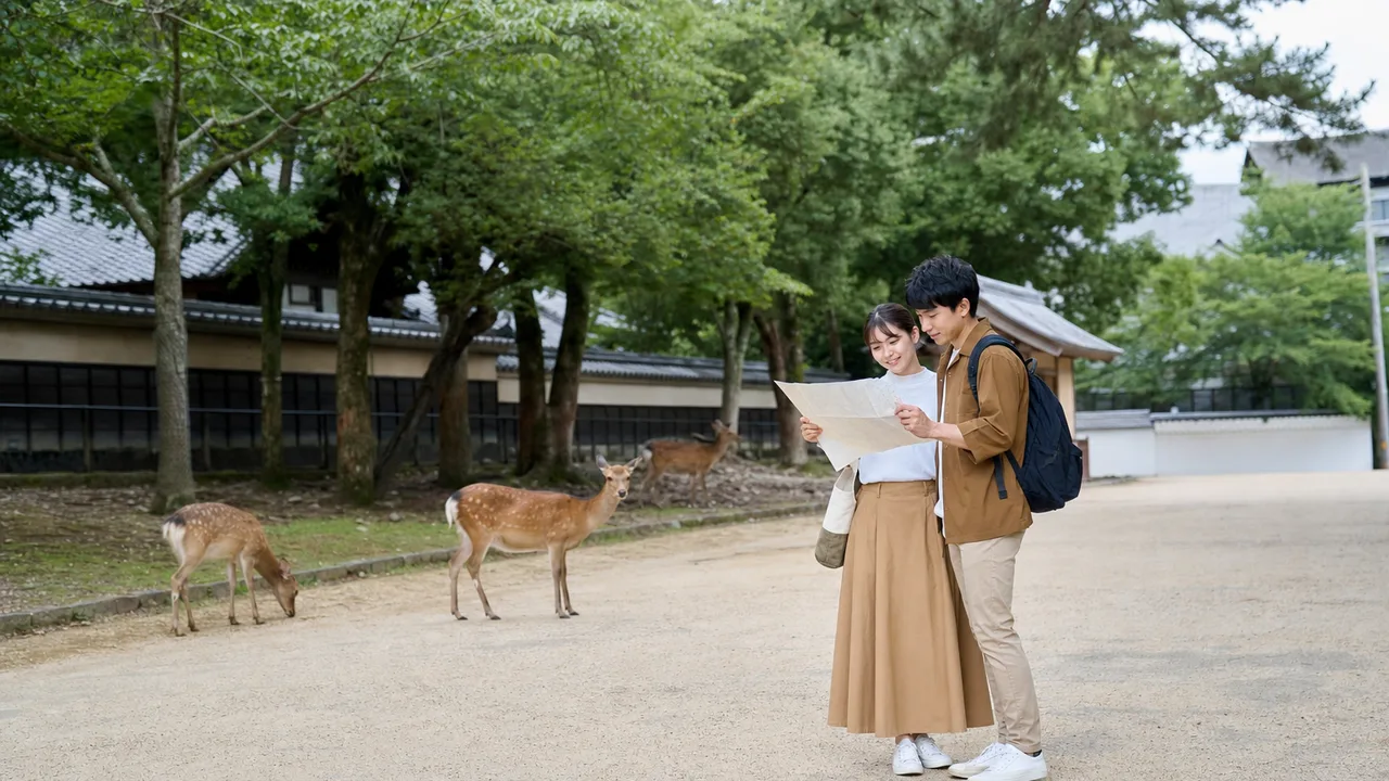 奈良の公園を歩く日本人旅行者（横長・コピースペース）。奈良、国内旅行、鹿、公園観光の記事に使える素材です。
