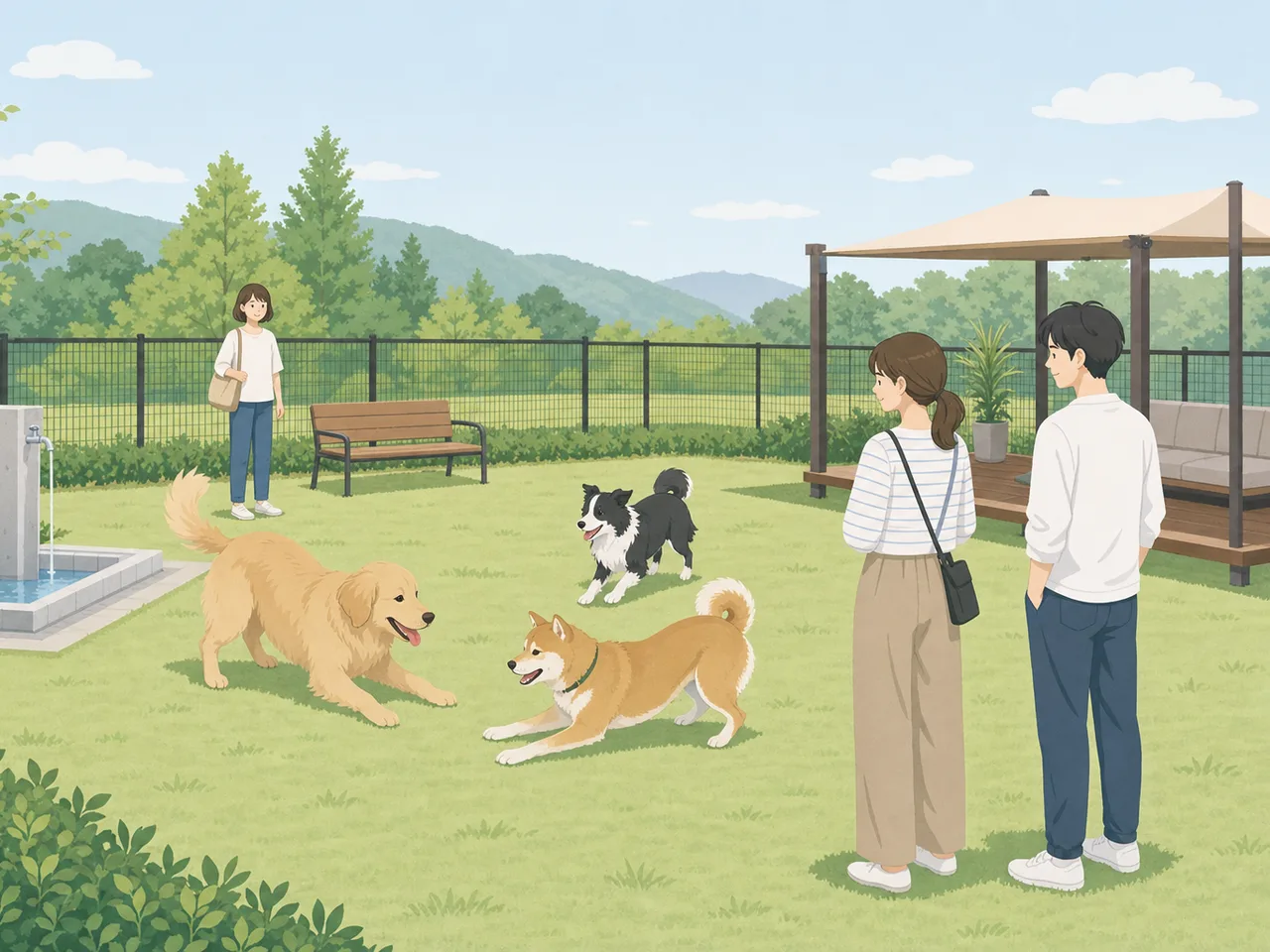 ドッグランで遊ぶ犬と日本人（フラットイラスト）。ドッグラン、犬、飼い主、ペットの交流の記事向け素材です。