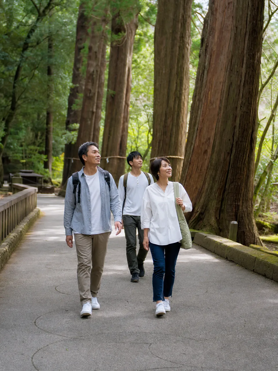 栃木の杉並木を歩く旅行者（自然な縦位置写真）。栃木旅行、杉並木、日光周辺、関東旅行の記事や案内に使える商用素材です。