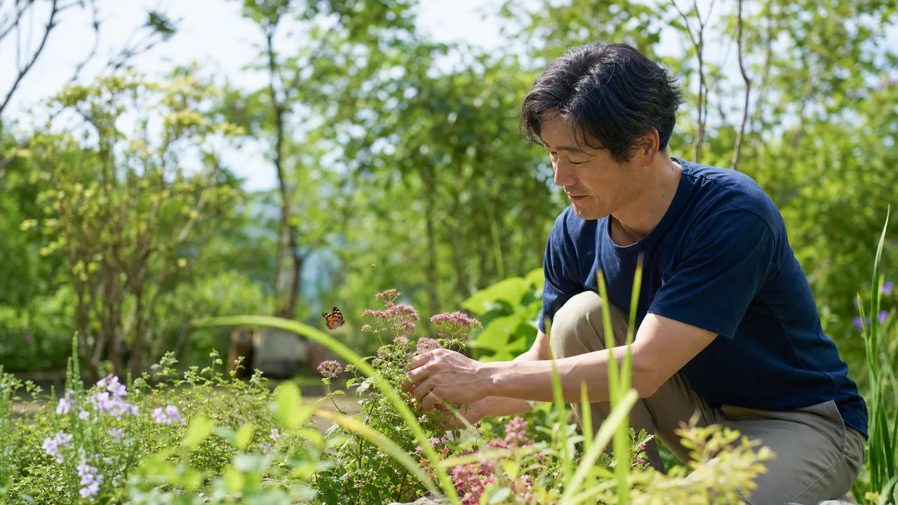 チョウが訪れる庭を整える日本人（横長・コピースペース）。バタフライガーデン、チョウ、蝶、庭づくりの記事や案内に使える商用素材です。