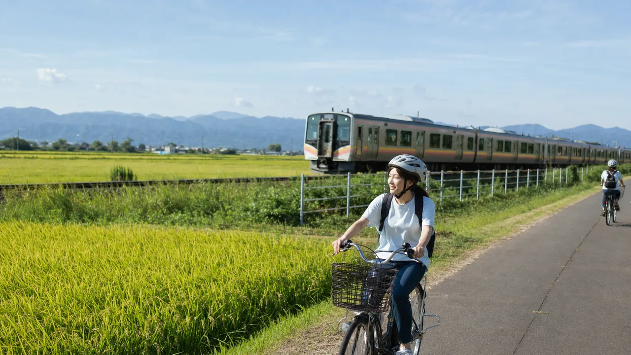 新潟の田園を旅する日本人（横長・コピースペース）。新潟、田園風景、地域旅行、稲作の記事向け素材です。