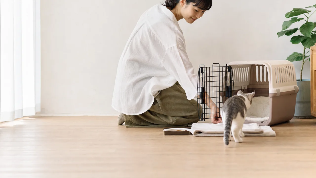 ペットのキャリーケース練習をする日本人（横長・コピースペース）。キャリーケース練習、犬猫、ペット、防災の記事向け素材です。