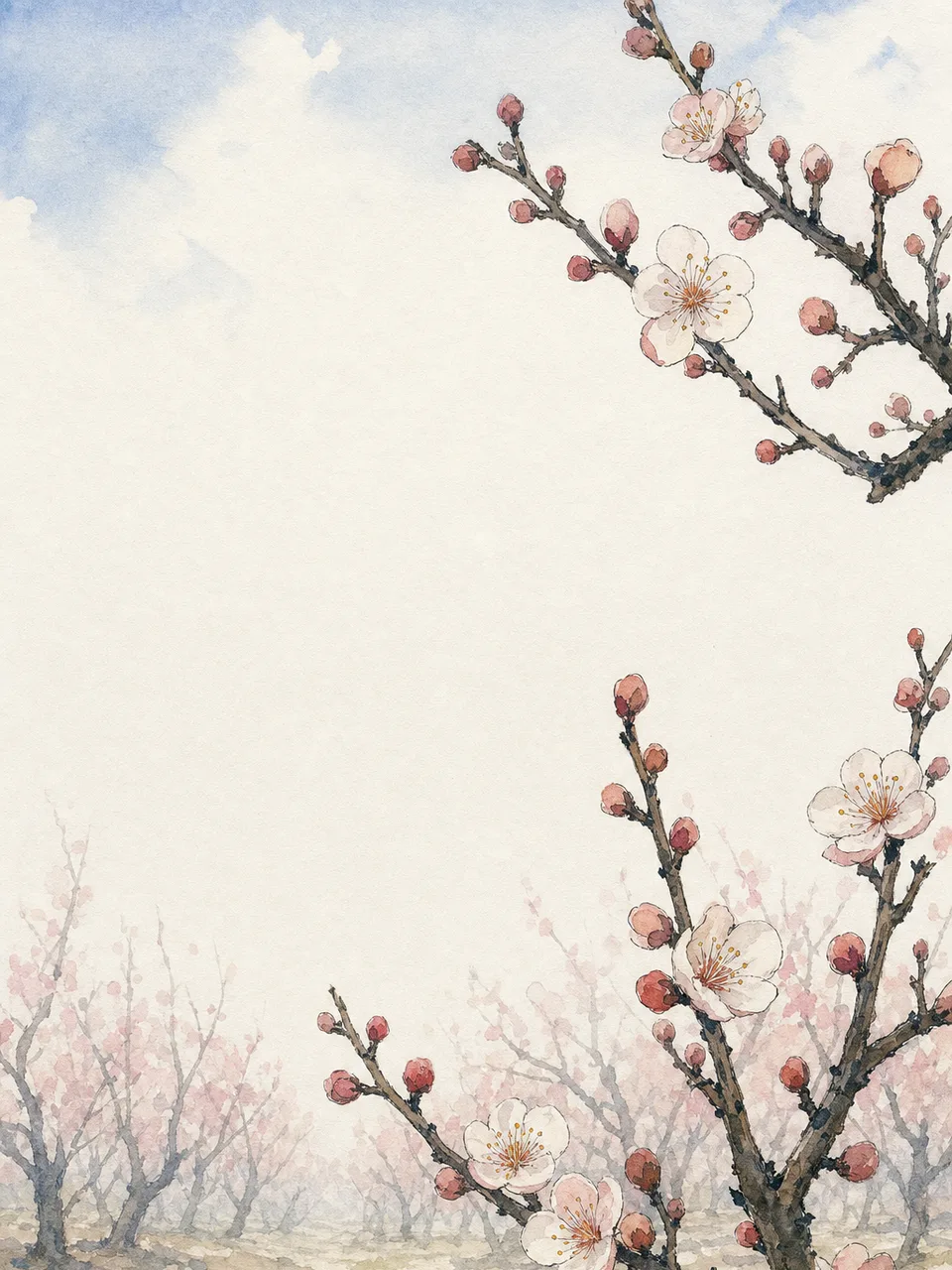 早春に咲く日本の梅の花（水彩フレーム）。梅の花、梅林、早春、花の風景向け素材です。
