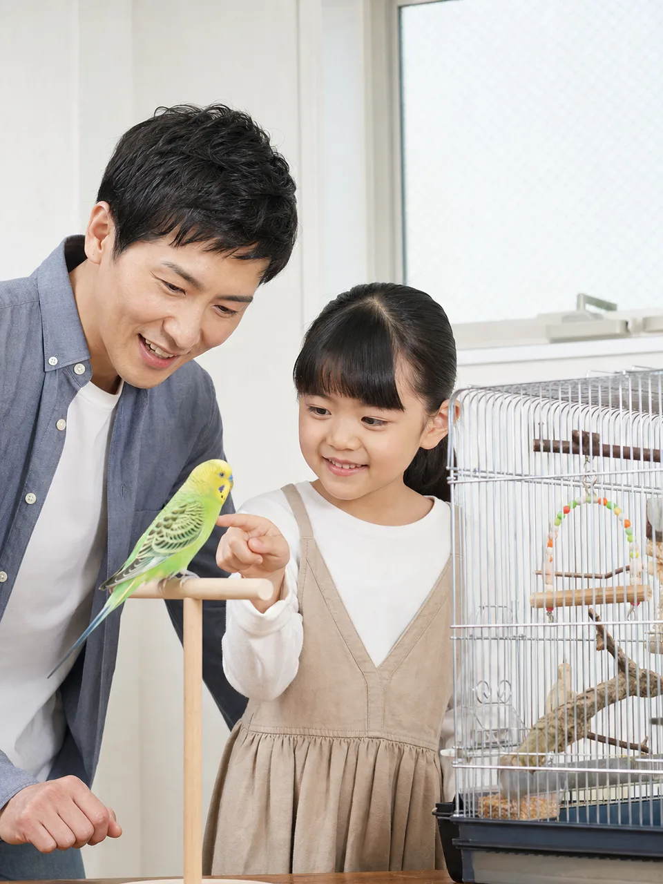 インコを世話する日本人家族（自然な縦位置写真）。インコ、鳥、小動物、ペットケアの記事向け素材です。