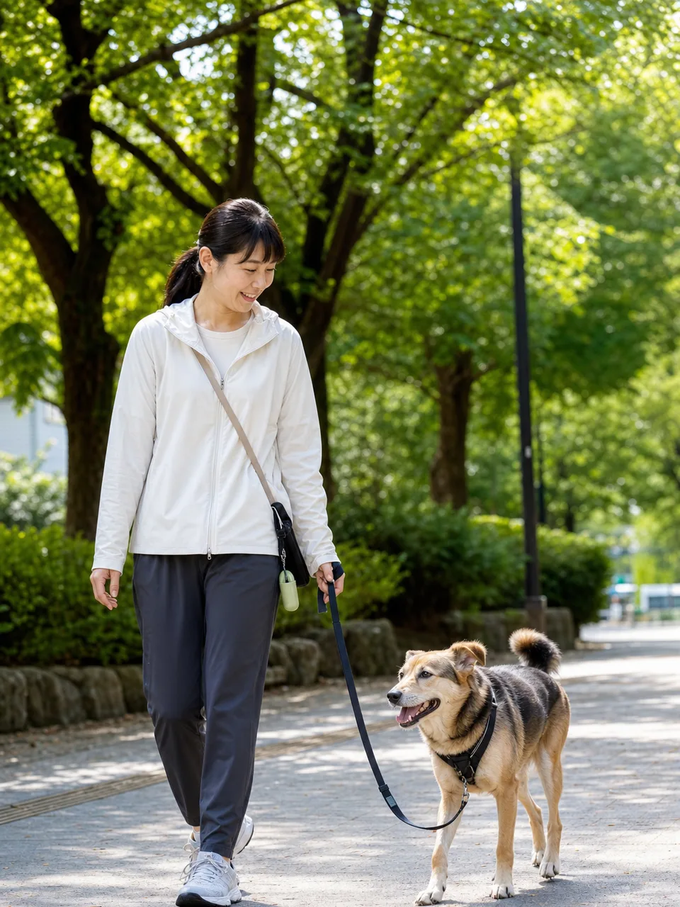 犬と散歩する日本人（自然な縦位置写真）。犬の散歩、ペット、健康、地域生活の記事に使える日常素材です。