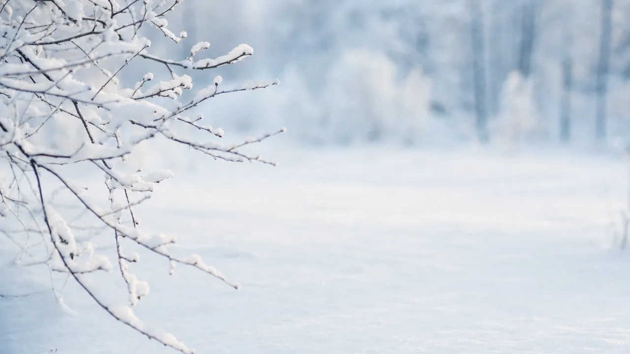 静かな雪背景（横長・余白背景）。雪背景、冬、白、季節デザイン向け素材です。