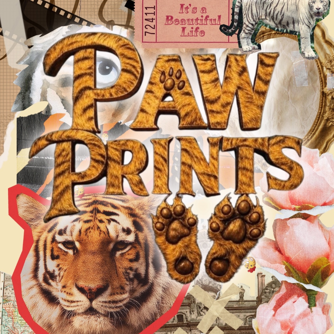 Paw Prints #1