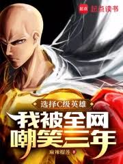 ปก เลือกฮีโร่คลาส C ผมโดนชาวเน็ตบูลลี่มาสามปีเต็ม