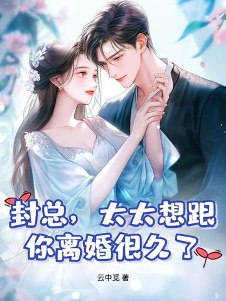 ปก คุณเฟิง ฉันอยากหย่ามานานแล้ว