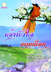 ปก เจ้าหัวใจแดนเถื่อน