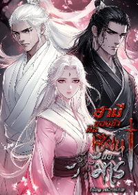 ปก สามีของข้าคือเซียนและมาร
