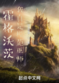 ปก ฮอกวอตส์ ฉันคือพ่อมดต้นแบบ