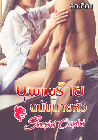 ปก บุพเพร้ายฉบับนายหัว