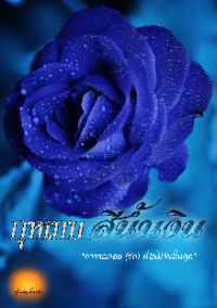 ปก กุหลาบสีน้ําเงิน [ An impossible love ]
