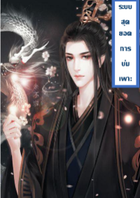 ปก ระบบสุดยอดการบ่มเพาะ