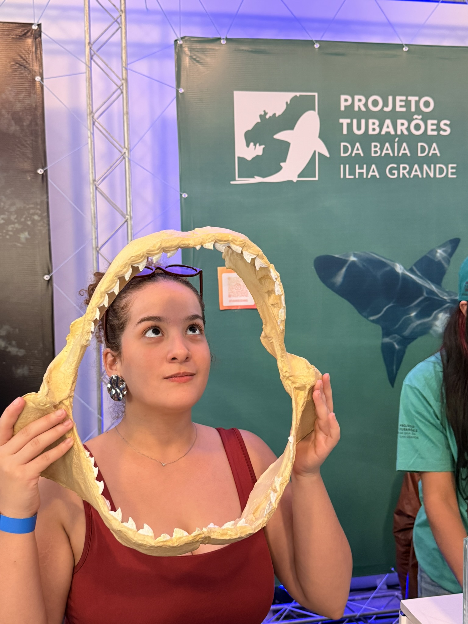 Réplicas de Tubarão - Projeto Tubarões da Baía da Ilha Grande