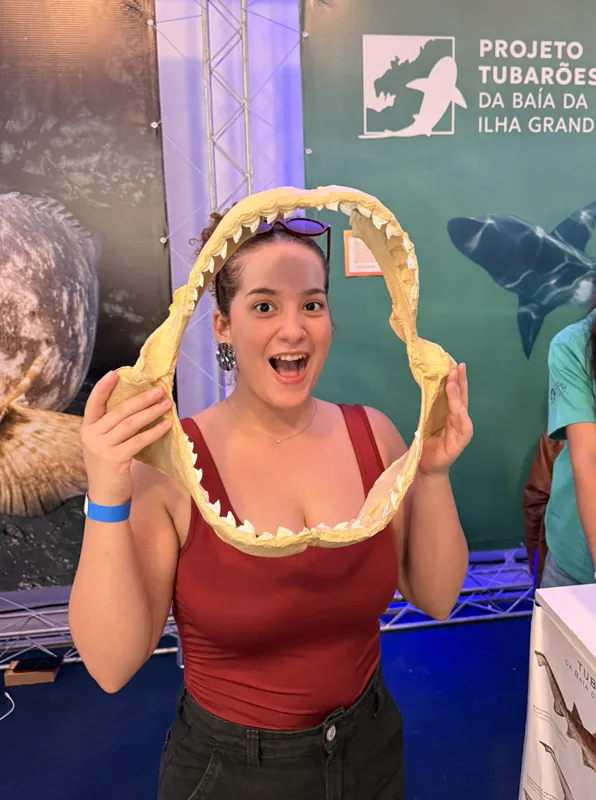Réplicas de Tubarão - Projeto Tubarões da Baía da Ilha Grande