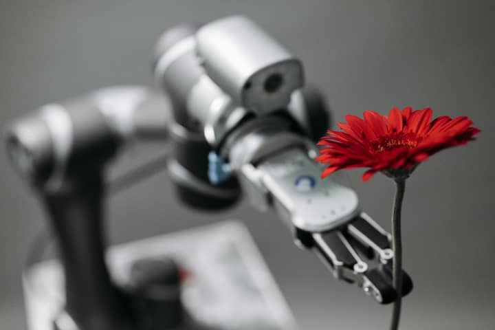a red flower in the hand of technology