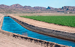 Irrigation