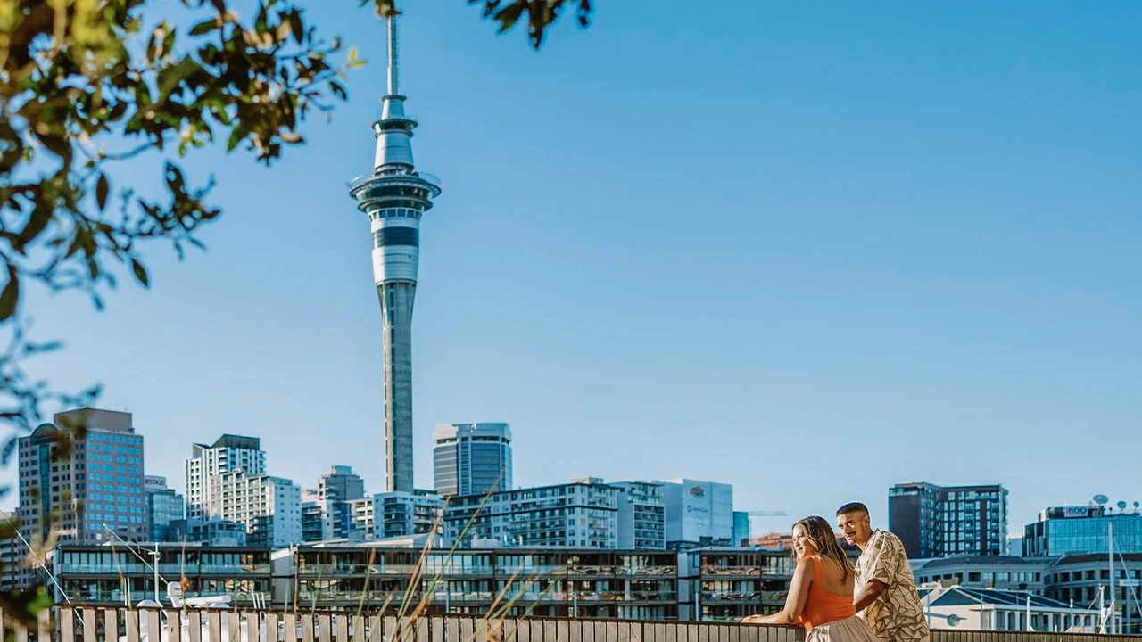 New Zealand Expedition