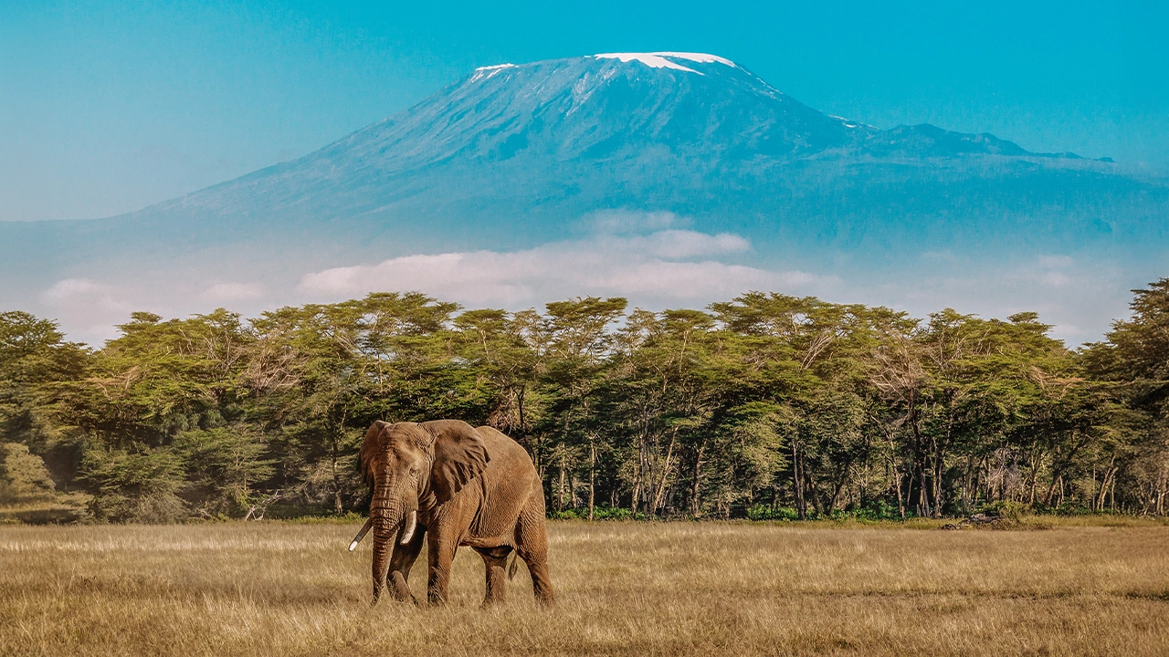 Tanzania Exploration (Danielle & Erin)
