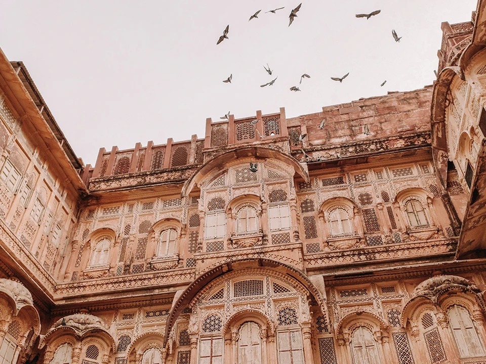 India Discovery Tour photo 4