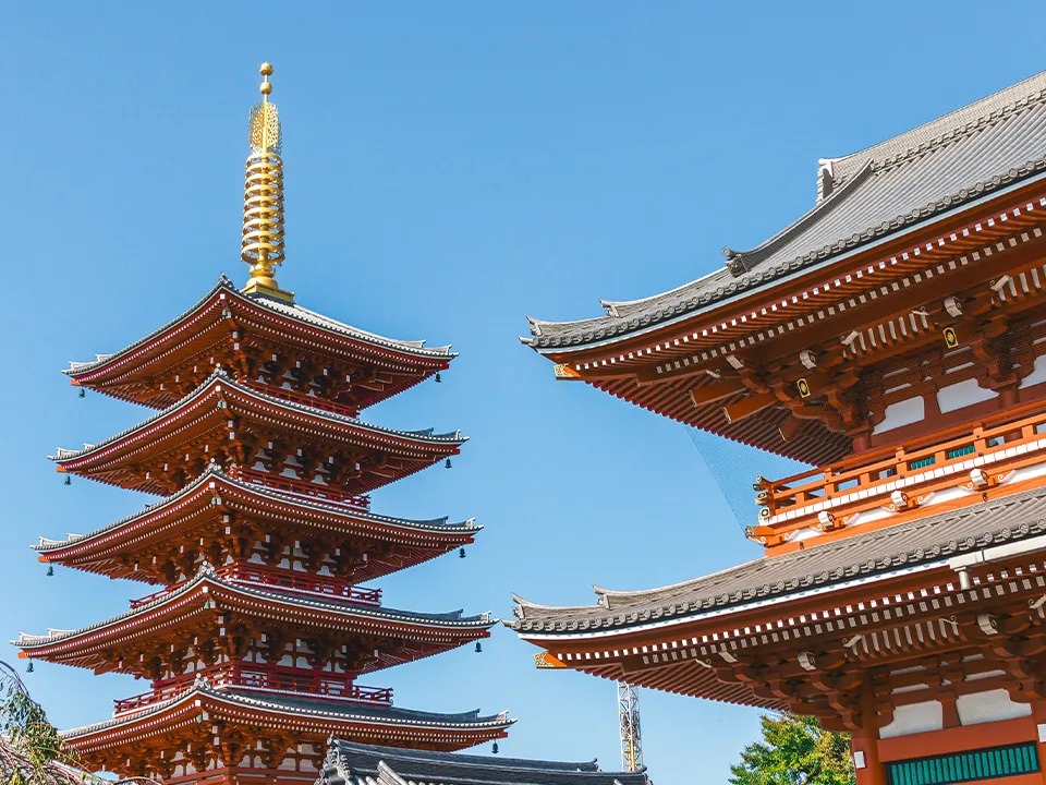 Tokyo City Tour
