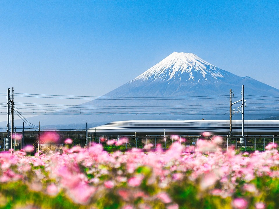 Famous Bullet Train