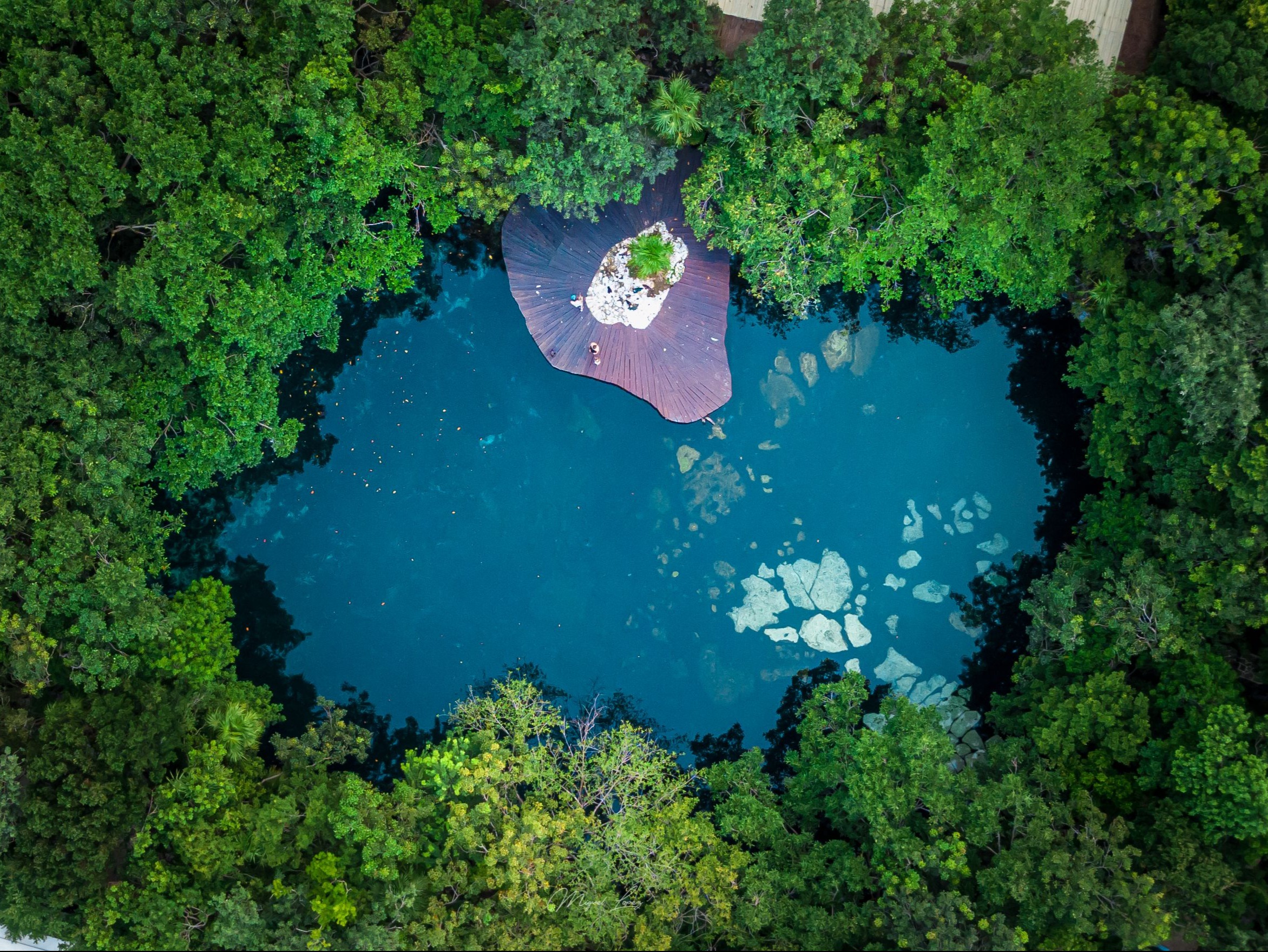 Mexico Discovery photo 4