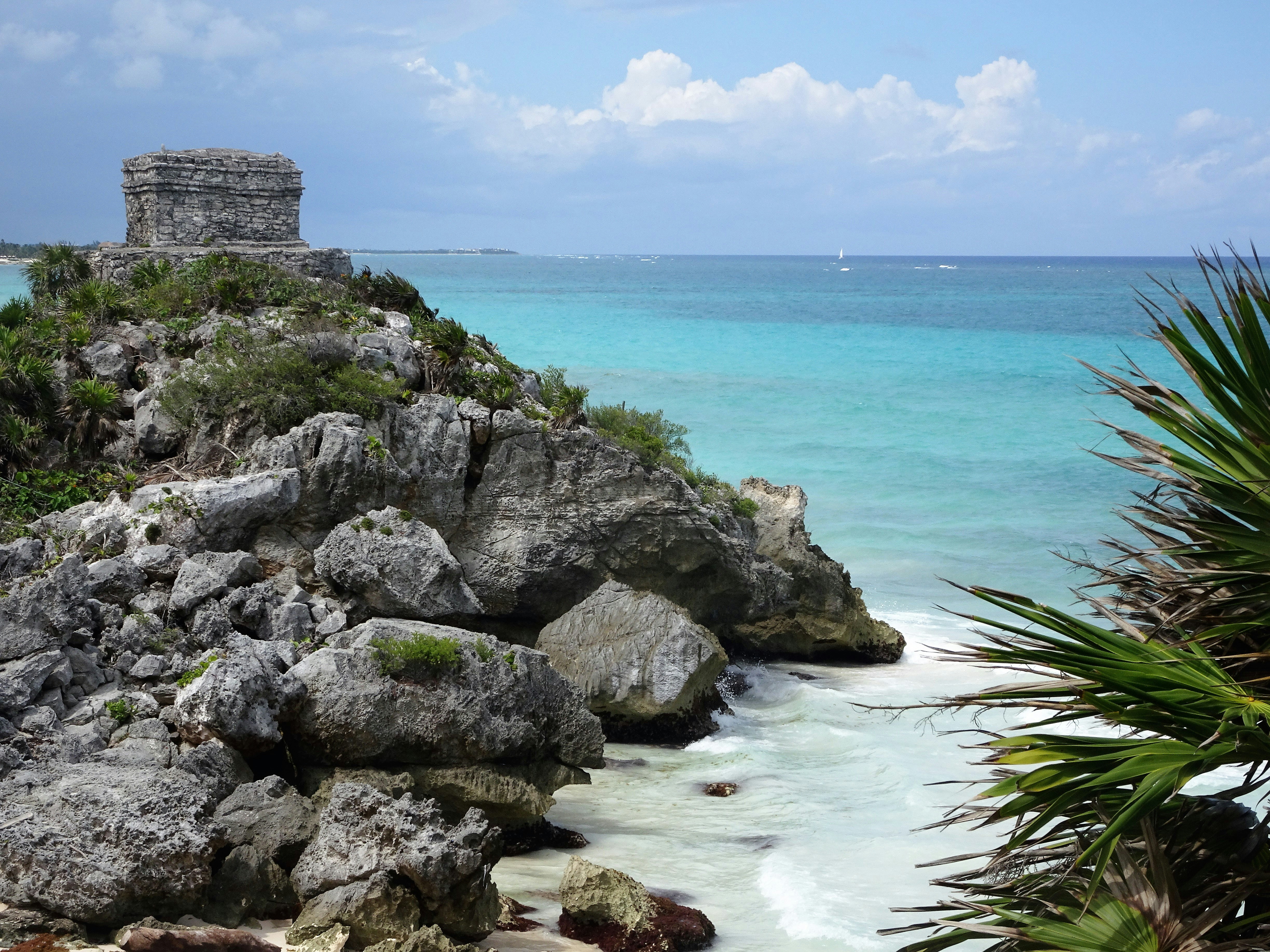 Mexico Discovery photo 6