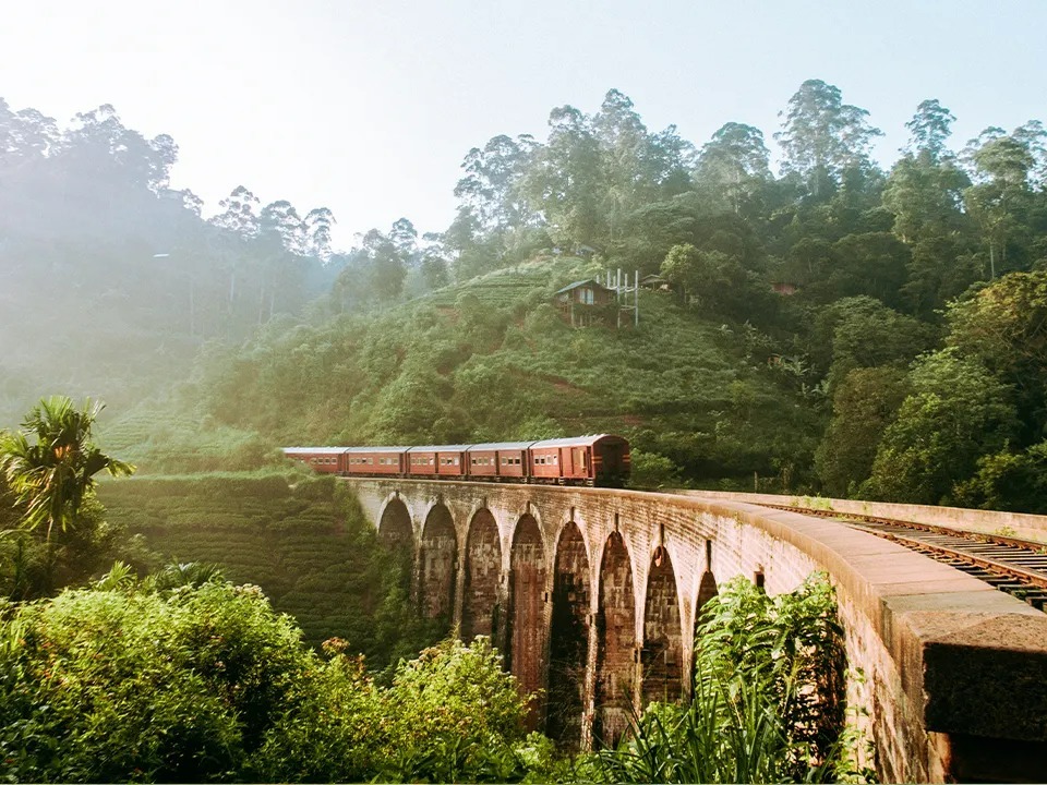 Scenic Train Journey