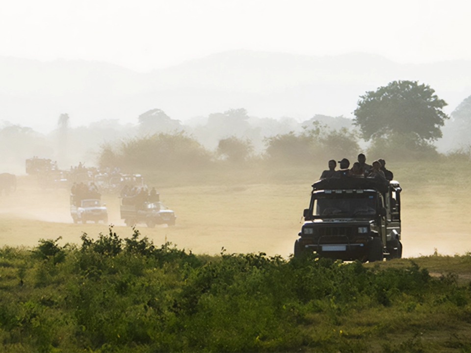 Safari Game Drive in Yala