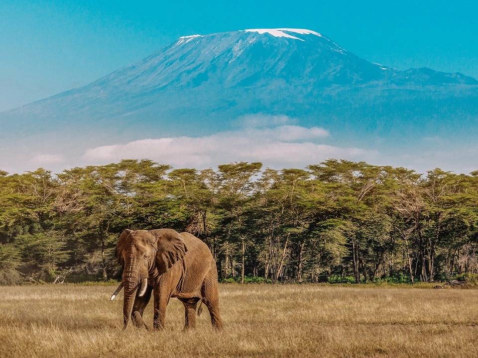 Tanzania Exploration photo 1