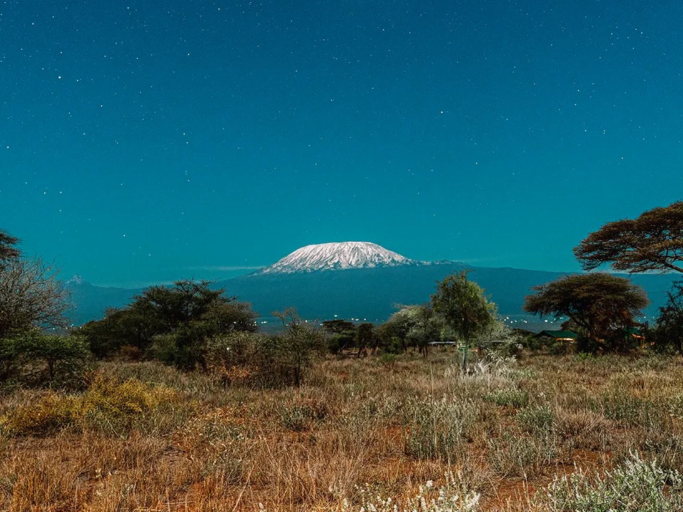 Kilimanjaro Mini Day Hike